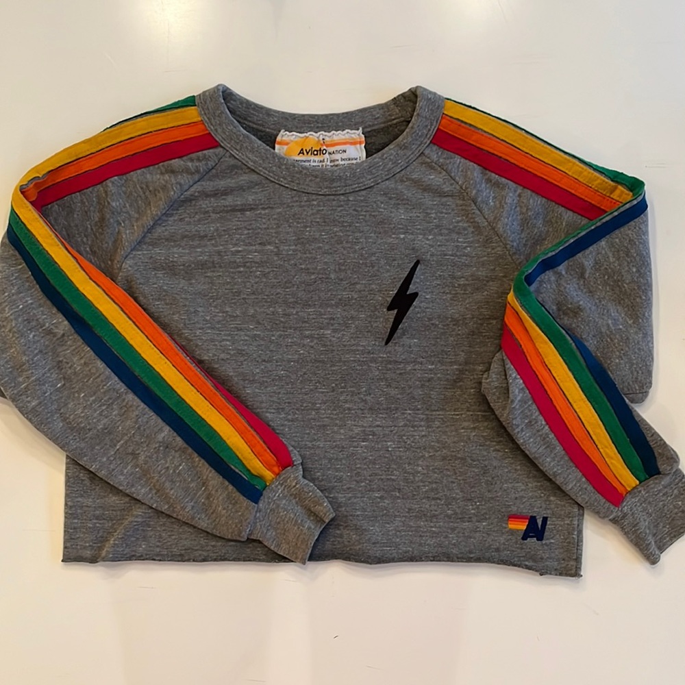 Aviator Nation cropped gray sweatshirt